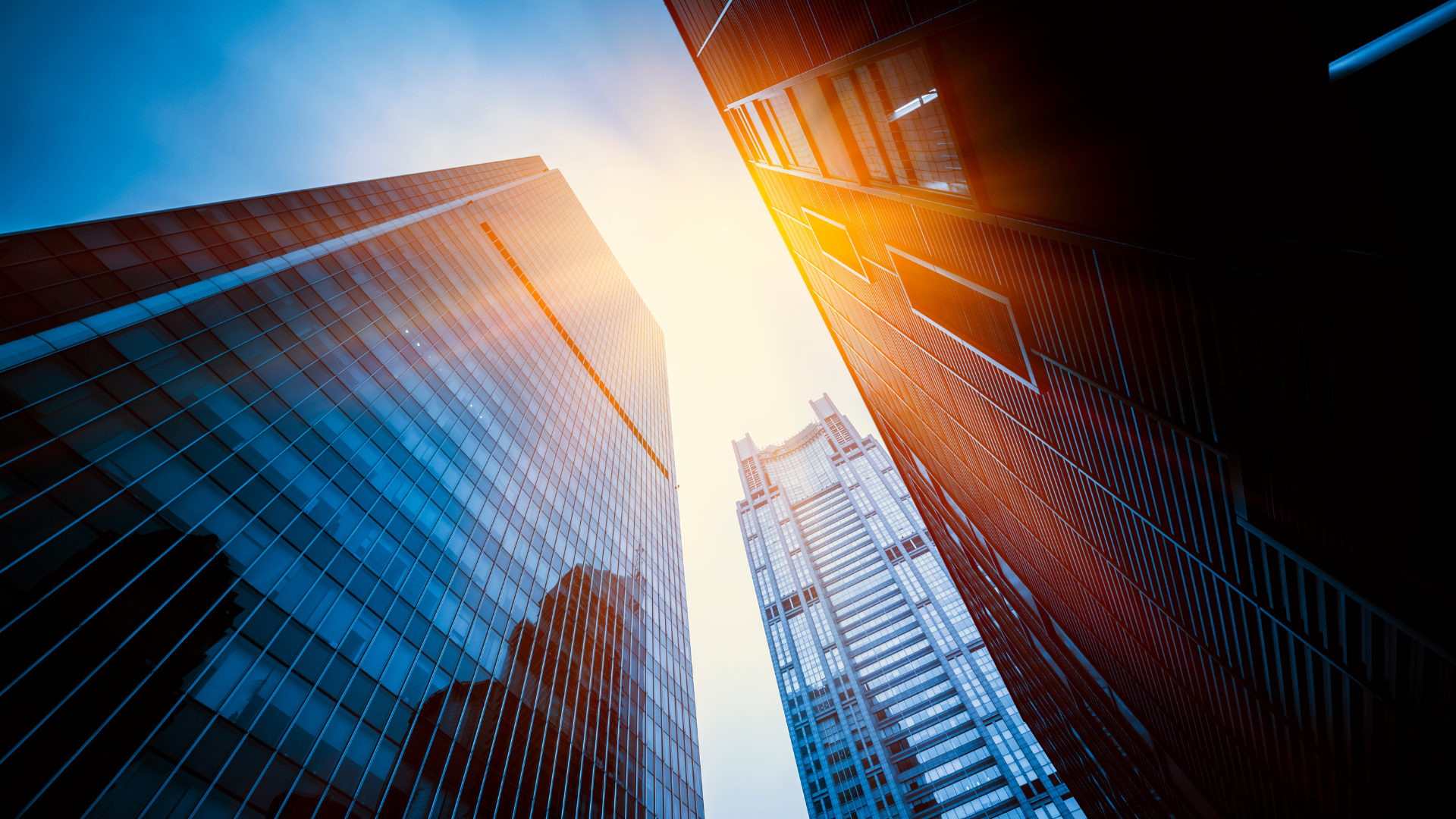 Beyond the Hype: Why Smart Companies are Holding Bitcoin | Florin21